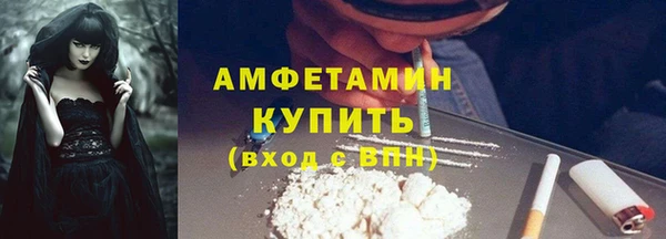 прущие грибы Верхний Тагил