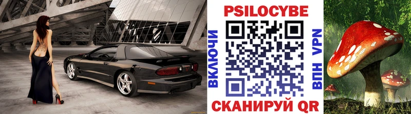 Галлюциногенные грибы Psilocybe  Ленск 