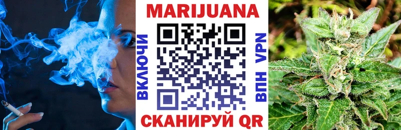 Конопля планчик Ленск